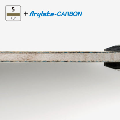 Timo Boll 30th Anniversary Edition FL