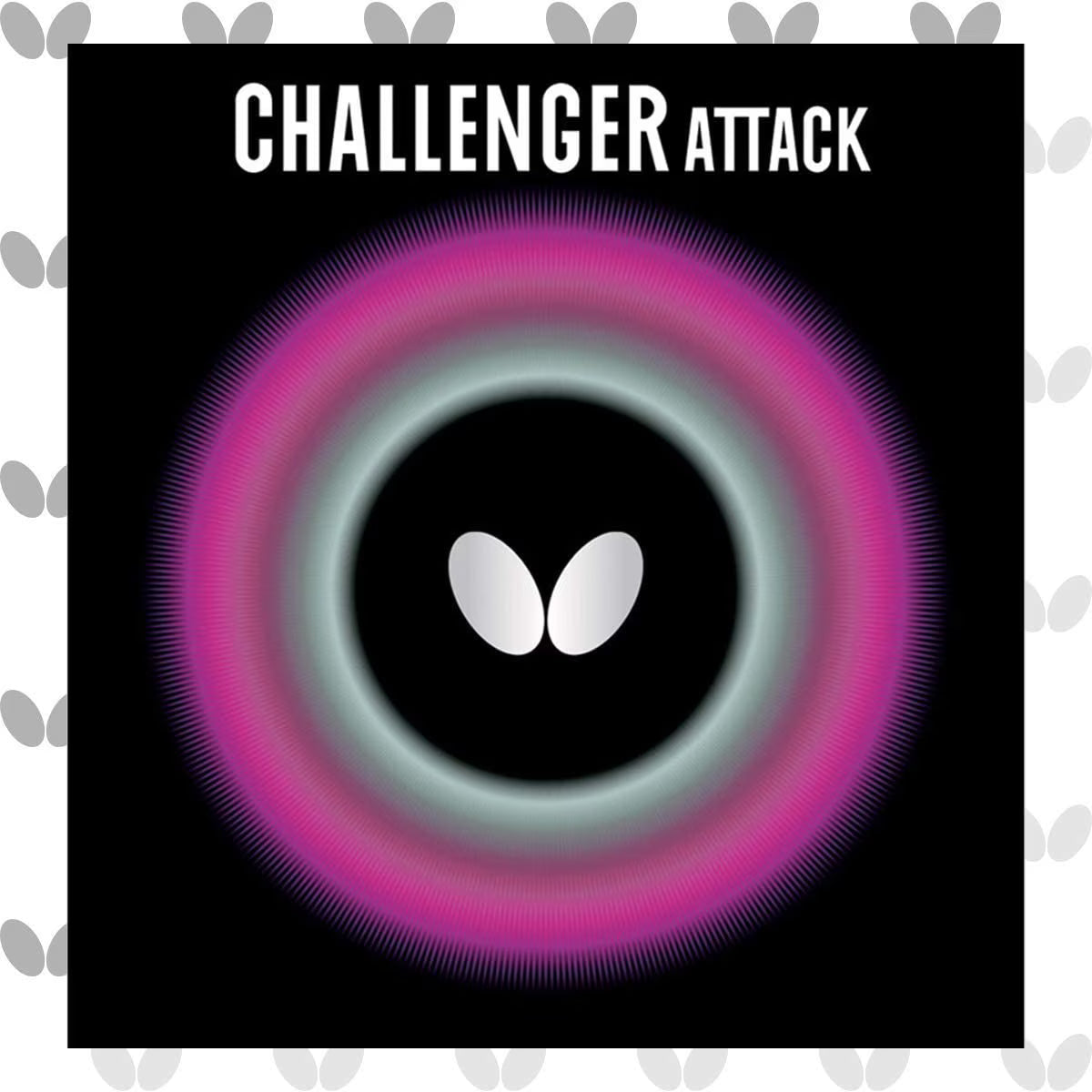 Challenger Attack