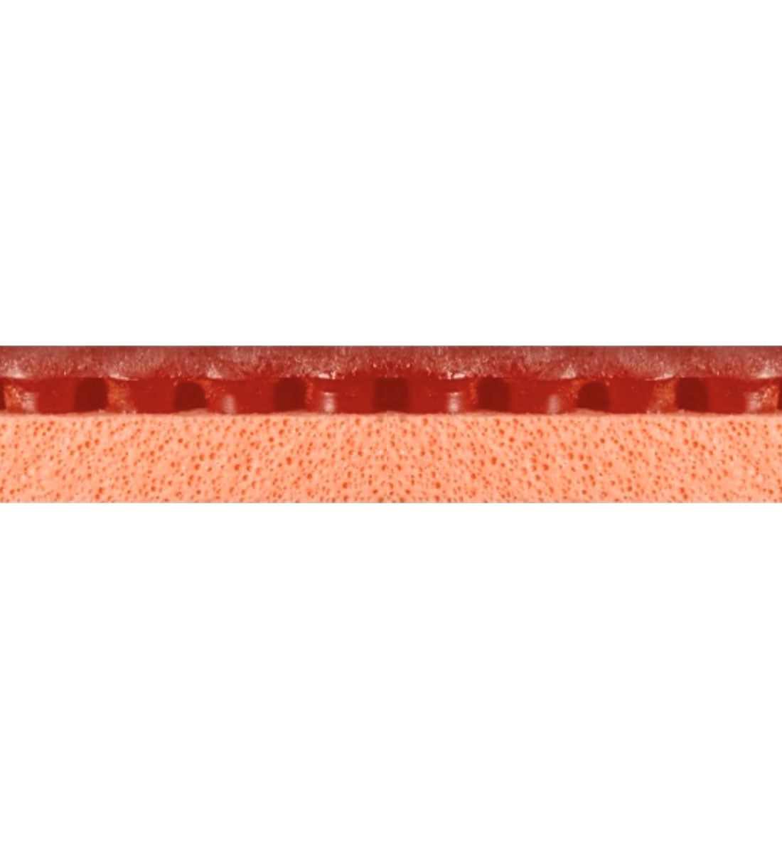 Nittaku Hurricane Pro 3 Turbo Orange