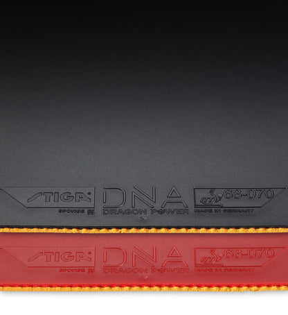 Stiga DNA Dragon Power 55